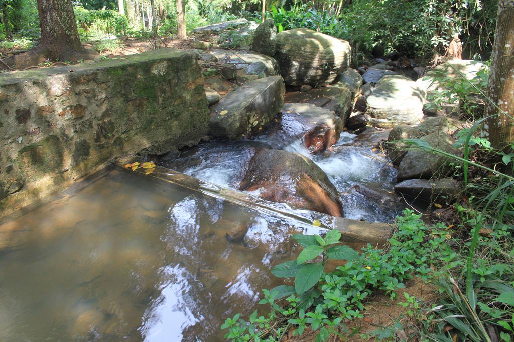 Bed and Breakfast Jungle Tide Kandy Exteriér fotografie