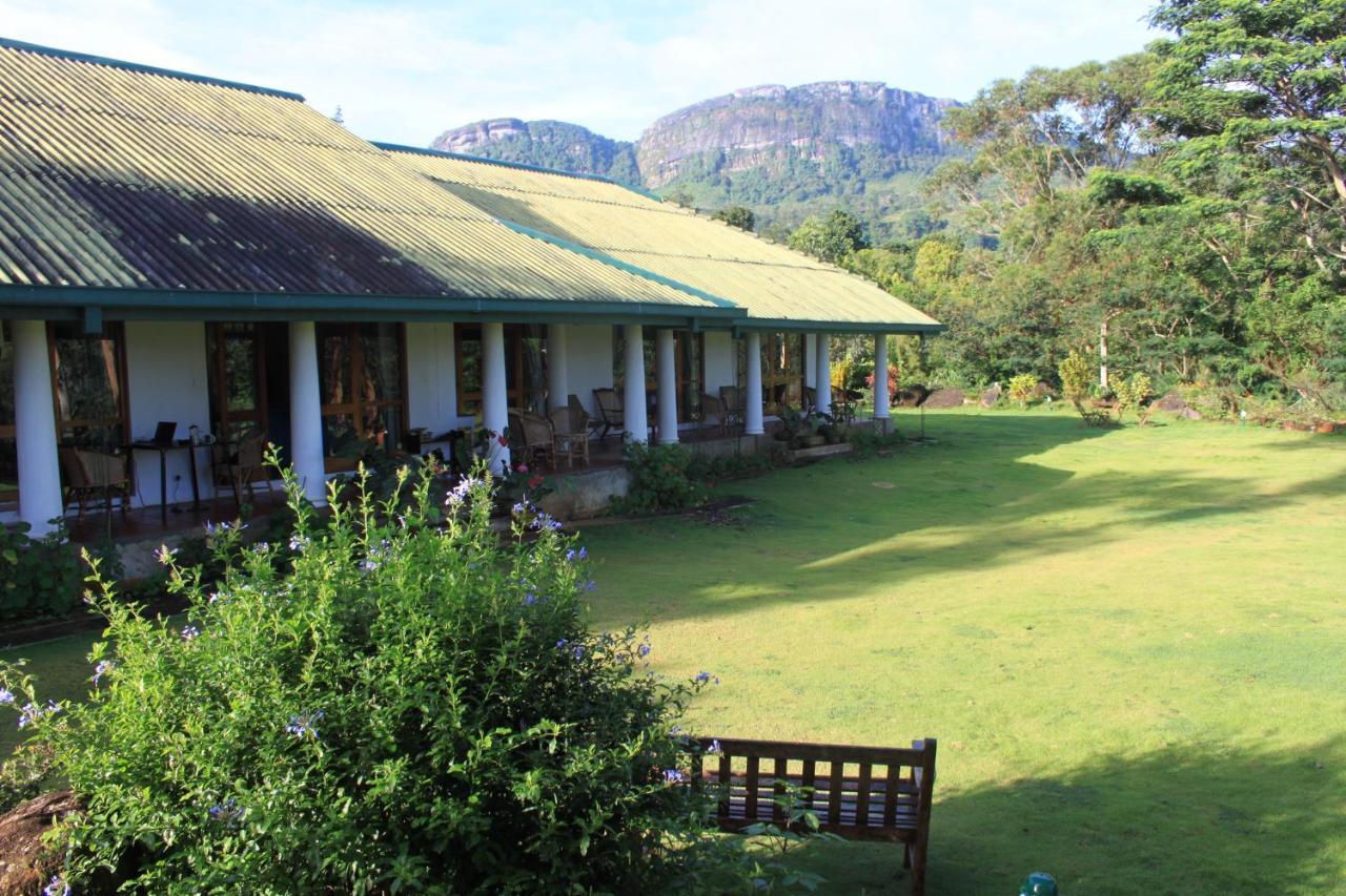 Bed and Breakfast Jungle Tide Kandy Exteriér fotografie