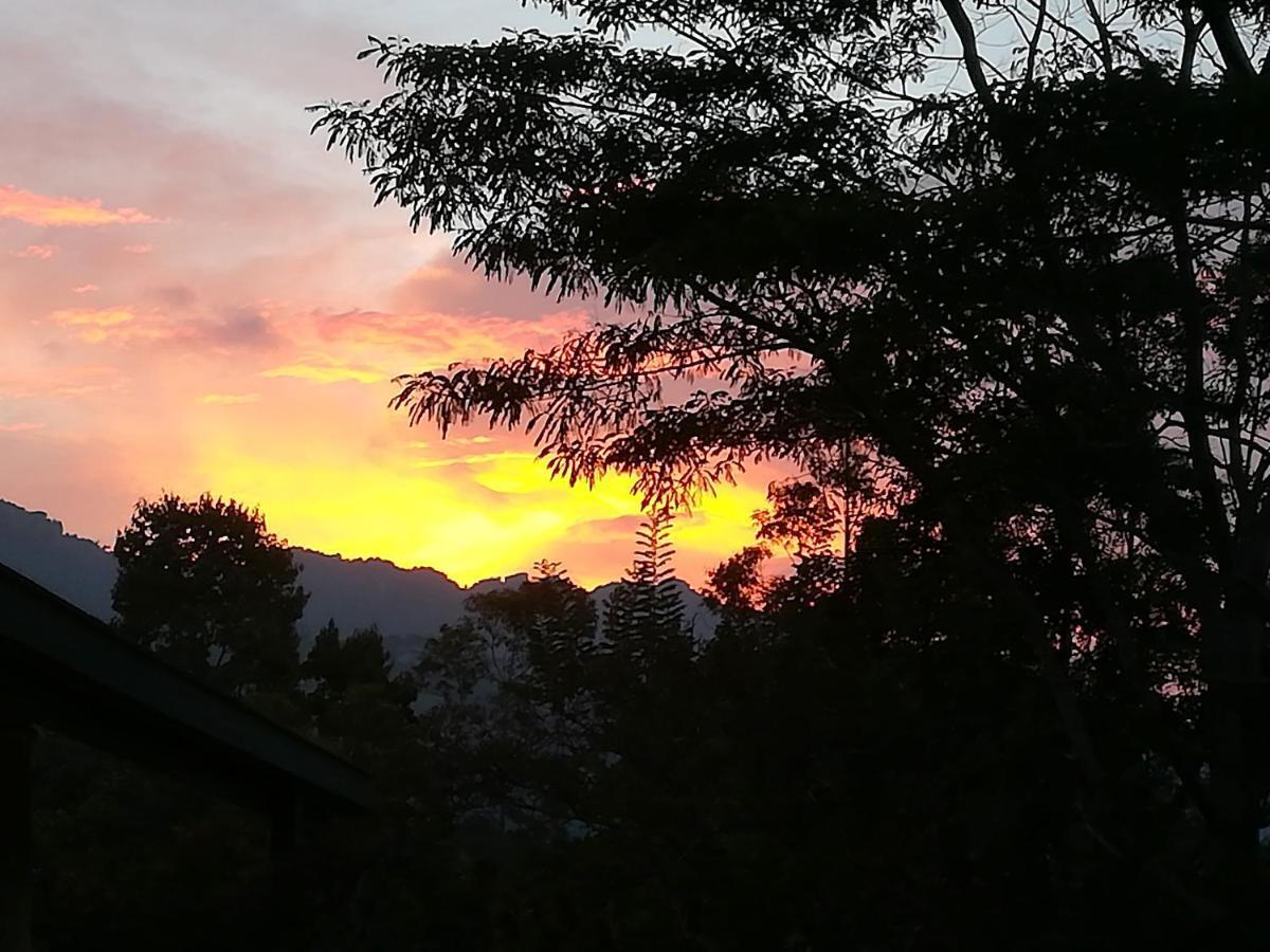 Bed and Breakfast Jungle Tide Kandy Exteriér fotografie